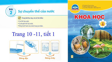Khoa học 4, Bài 2 Sự chuyển thể của nước, Tuần 2, trang 10-11, tiết 1, chân trời sáng tạo, lớp 4,