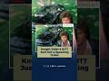 Knight Rider’s KITT Just Got a Speeding Ticket