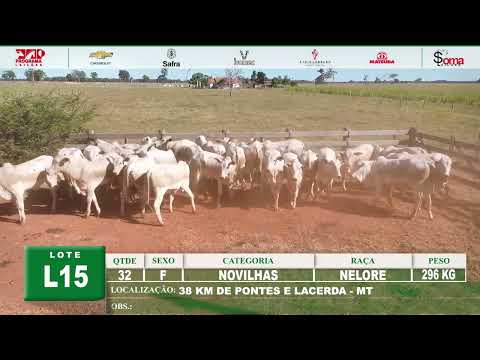 LOTE L15