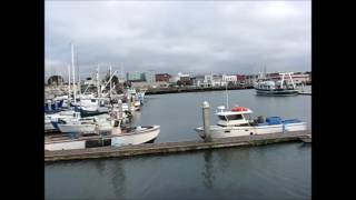 Eureka Video Woodley Island Redwoods