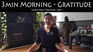 3min Morning Practice - Day 1 - Gratitude | Taha Yoga w/ Stephen Beitler