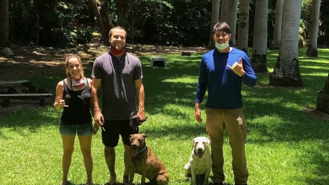 Alpha K-9 Dog Training Classes in Honolulu, HI | 96782