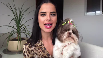 Como criar cachorro e gato em apartamento?