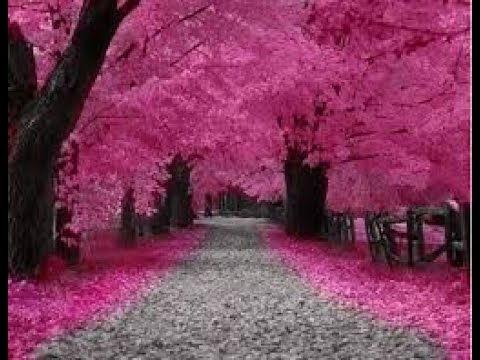 متجمعين علي خير وفي الخير دايمآ