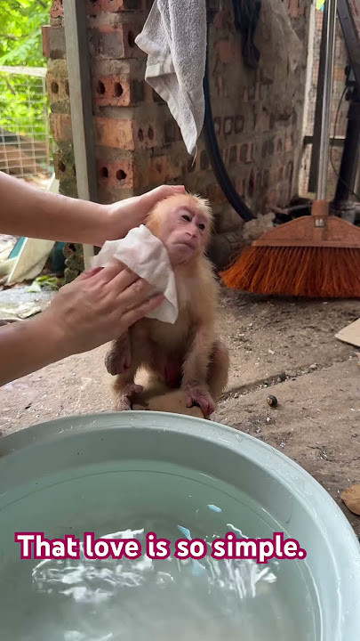Monkey Xuka