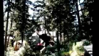 the tramp edit D L A J