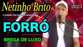 Vignette de la vidéo "FORROZÃO BREGA DE LUXO NETINHO BRITO O Judiador Dos Corações Apaixonados 2023"