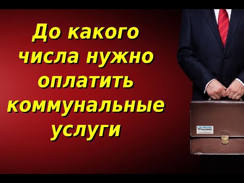 До какого числа нужно оплатить коммунальные услуги