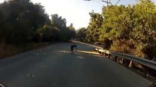 Welcome back Jonathan Simon