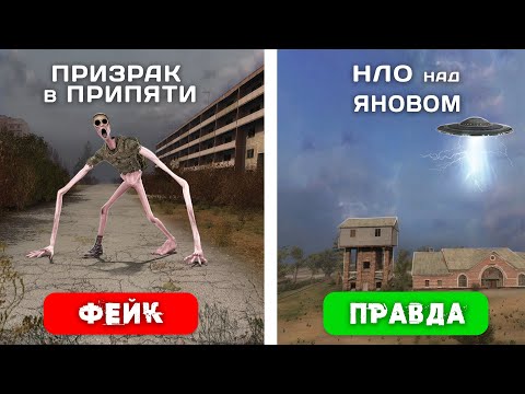 4 Мифа из STALKER – Проверка ПРАВДА или НЕТ