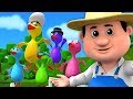 lima bebek besar | lagu anak-anak | Five Big Ducks | Best Indonesian Rhymes | Lagu Anak.