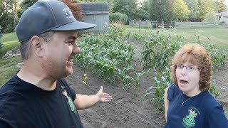 Critter Control! How To Quickly Install an Electric Fence! Identifying Stressed Corn!