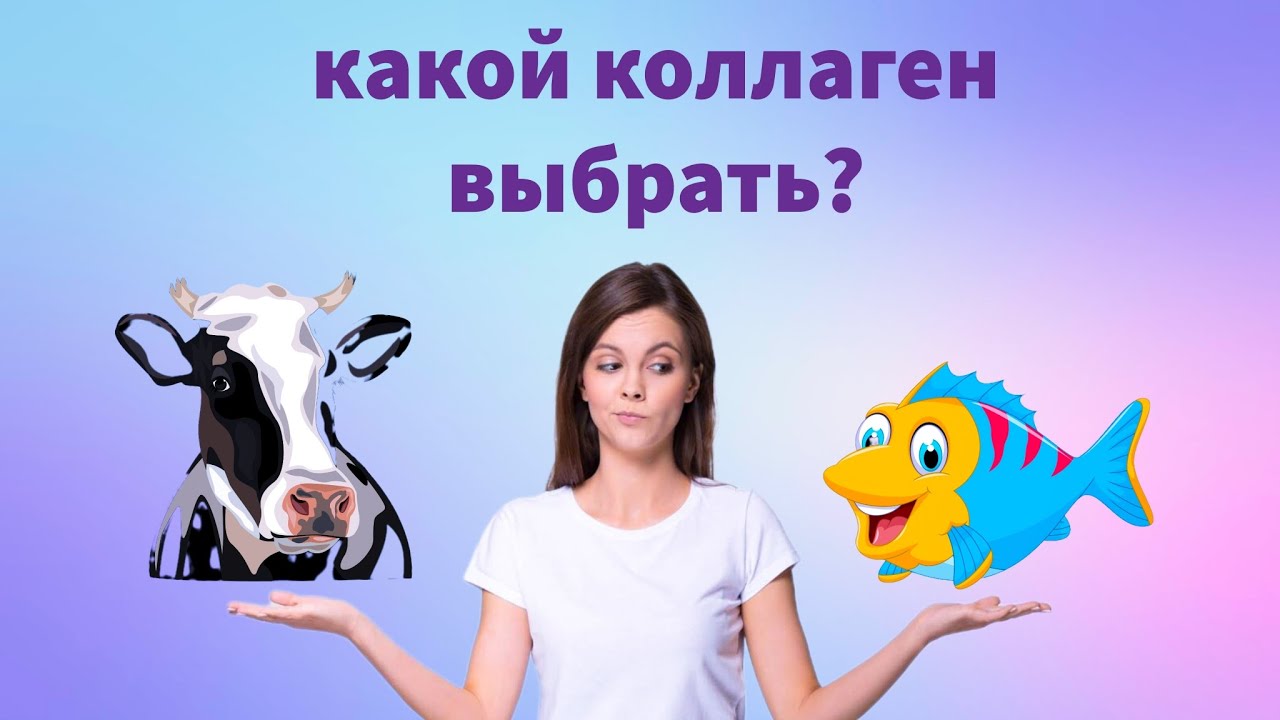 Какой Коллаген Лучше Купить Морской Или Говяжий