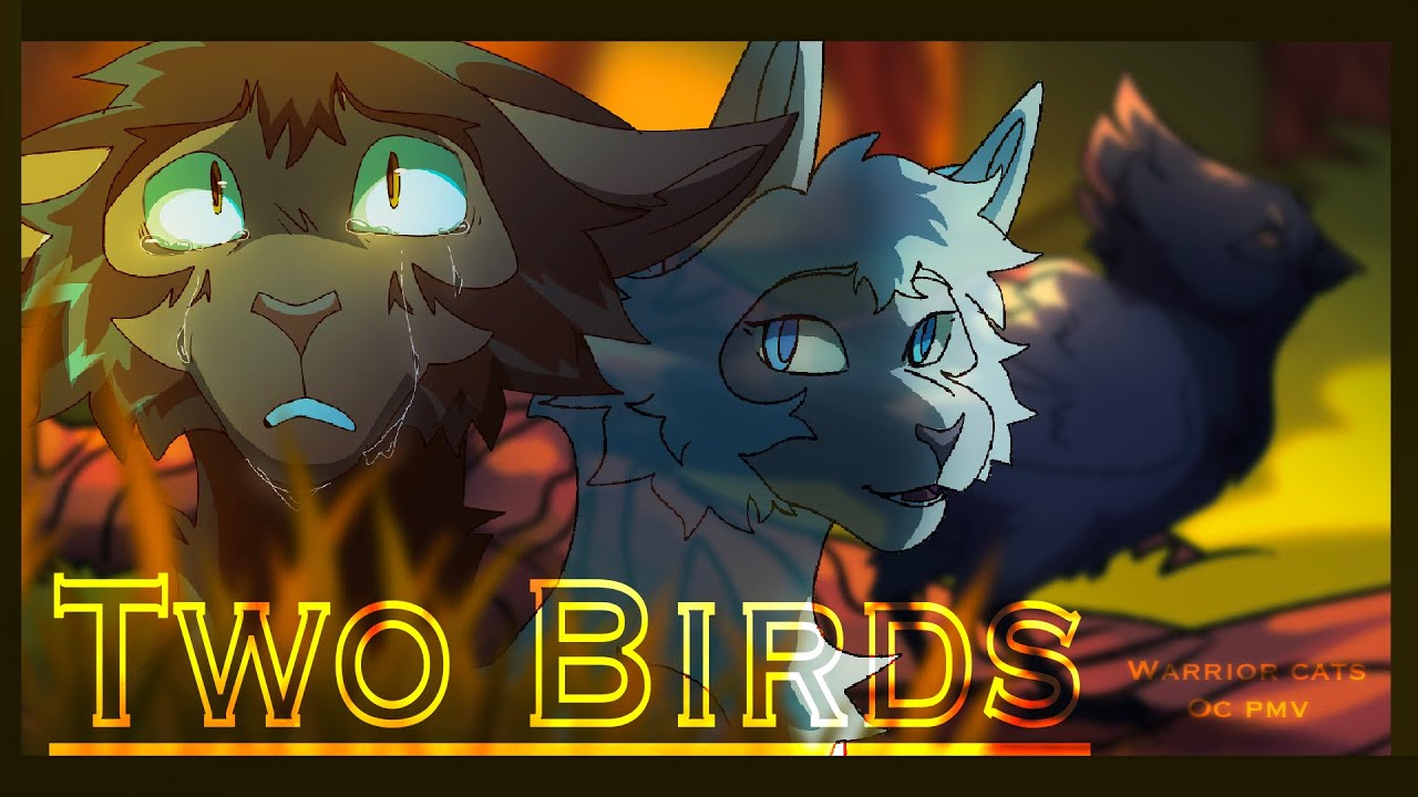 TWO BIRDS|| Warrior Cats| PMV