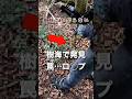 【樹海の罠】ありえない…奇怪な…不可解な…不可思議な…