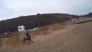 Naughty Merlin at the Beach