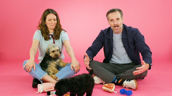Tina Fey & Will Forte | The Puppy Interview