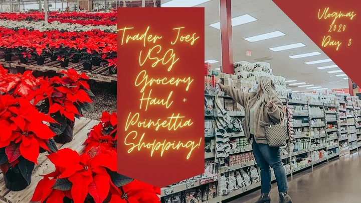 Trader Joe's VSG Grocery Haul + Poinsettia Shopping ~ Vlogmas Day 3