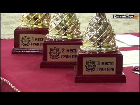 Соревнования по конкуру,