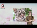 Tử Vi Hang Ngay 9/4/2020 - Luận Tử Vi 3 Con Giáp Này Ngày Mai Vận Đen Đeo Bám, Đụng Đâu Hỏng Đó
