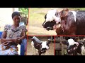 MAAJABU NGO MBE AZALIWA NA VICHWA 3 MACHO 3 MMILIKI ANAMUOGOPA AMKIMBIA MAAJABU NGO MBE AZALIWA NA VICHWA 3 MACHO 3 MMILIKI ANAMUOGOPA AMKIMBIA