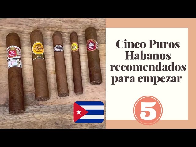 🔥Cinco Puros Habanos recomendados para Principiantes ☑️ 