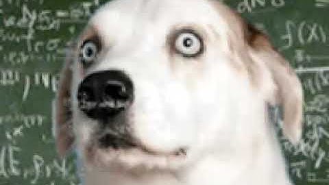 "a monad is a monoid in the category of endofunctors"