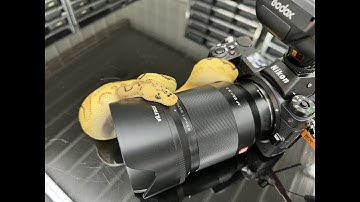 Ball Python Photo Session with Royal Constrictor Designs and Dave Vissers Photography!