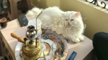 {إِنّ هَذَا الْقُرْآنَ يِهْدِي لِلّتِي هِيَ أَقْوَمُ}  سورة الإسراء: 9