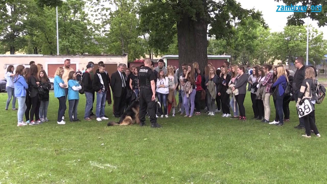 Dzień Otwarty w ZSA - Zambrow.org