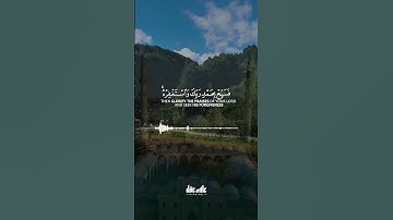 #سورة النصر القارئ علاء عقل