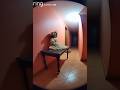 奇妙な現象を撮影した動画 #隠れ鬼 #恐怖 #おばけ #怪現象 #ミステリーハンター #horror #paranormal #alien