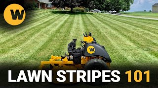 How To Improve Your LAWN STRIPES | WRIGHT