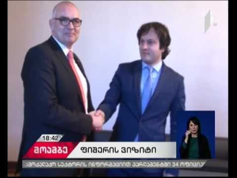 ირაკლი კობახიძე აქსელ ფიშერს შეხვდა