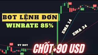 BOT Forex UTBot + EMA: Lãi 100USD Sau 2 Ngày & Cách Cài BOT MT4