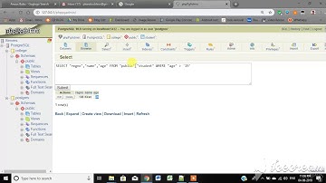 How to Access PostgreSQL Database using WAPP
