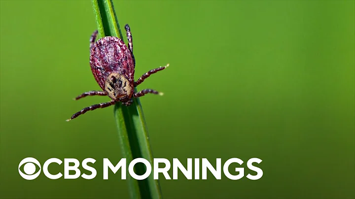 Number of tick-borne disease cases on the rise in the U.S.