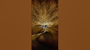 آيات من سورة ق#قرآن #quran  #اكسبلور #لايك #حالات_واتس #لايك #راحة_نفسية #تيك_توك #ترند #funny #fyp