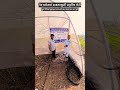 નેટ હાઉસમાં મિશ્ર શાકભાજીની પ્રાકૃતિક ખેતી