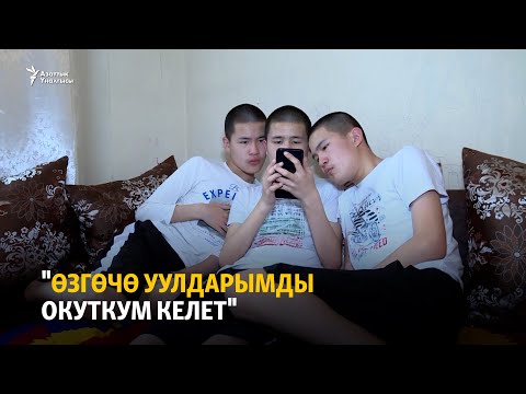 Video: Австралияда кандай жерге туташтыруу системасы колдонулат?