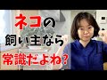 これだけは守って！ネコを飼うときに最低限条件