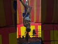Circus
