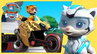 Cat Pack Stops a Giant Ball of Yarn 🧶   More Cartoons for Kids | PAW Patrol