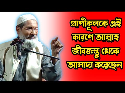 ভিডিও: পার্ট 61 এবং পার্ট 91 এর মধ্যে পার্থক্য কি?