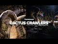 Cactus crawlers  a mexico aoudad sheep hunt  mtntough film