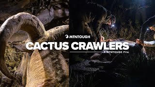 Cactus Crawlers | A Mexico Aoudad Sheep Hunt | MTNTOUGH Film