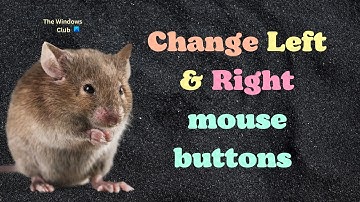 How to switch or change Left & Right mouse buttons on Windows 11/10