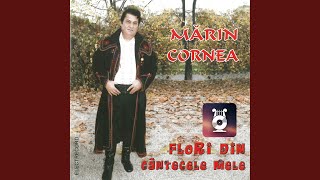 Frunză legănată-n vânt