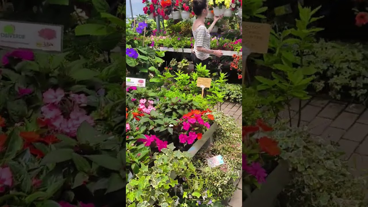 17 февраля 2026 г.