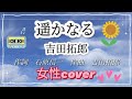 遥かなる 吉田拓郎 女性カバー